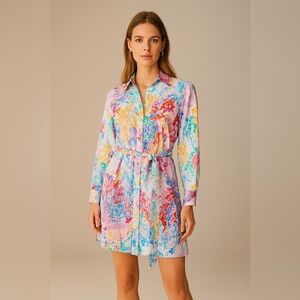 NWT Robert Graham Charlotte Paisley Print Silk Blend Dress